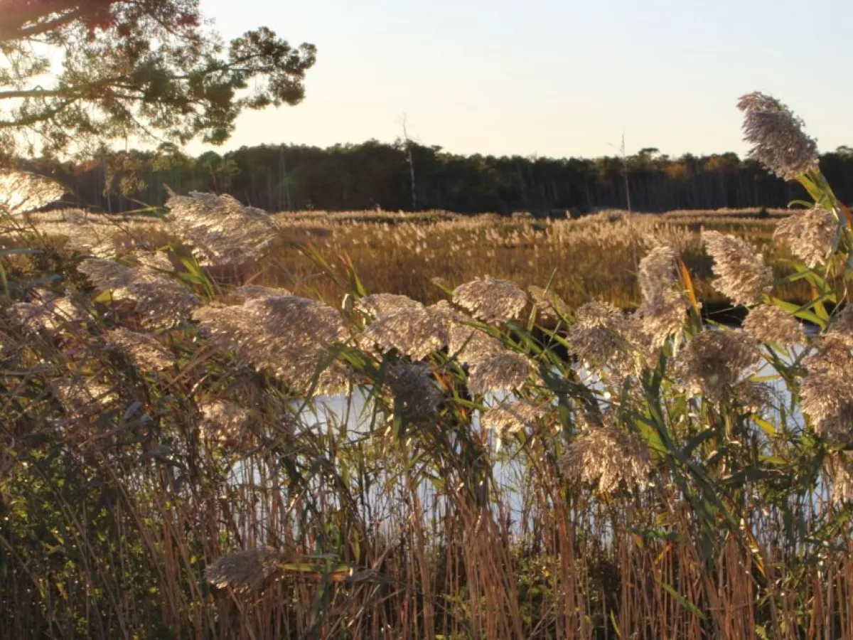 Toms River Personal Injury Lawyer Brandon J Broderick